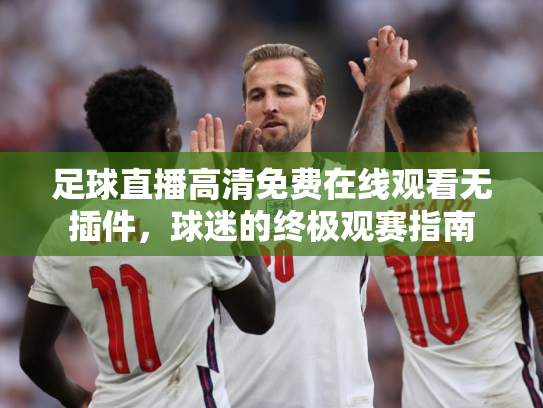 足球直播高清免费在线观看无插件，球迷的终极观赛指南