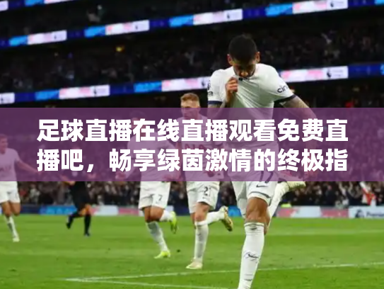 足球直播在线直播观看免费直播吧，畅享绿茵激情的终极指南