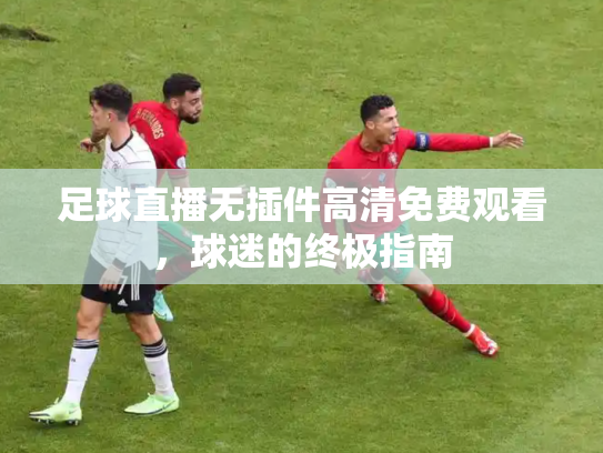 足球直播无插件高清免费观看，球迷的终极指南