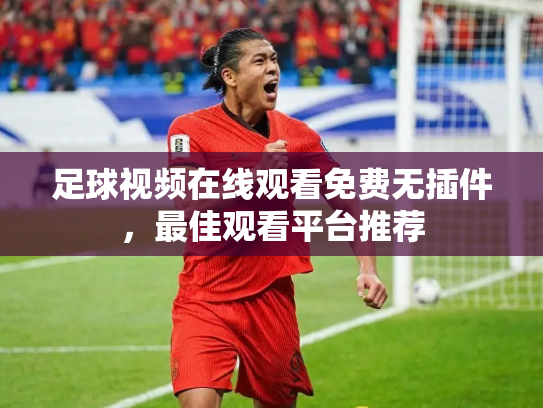 足球视频在线观看免费无插件，最佳观看平台推荐
