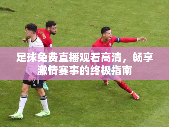 足球免费直播观看高清，畅享激情赛事的终极指南
