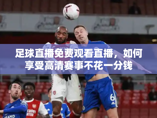 足球直播免费观看直播，如何享受高清赛事不花一分钱