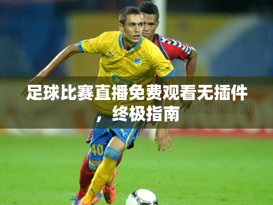 足球比赛直播免费观看无插件，终极指南