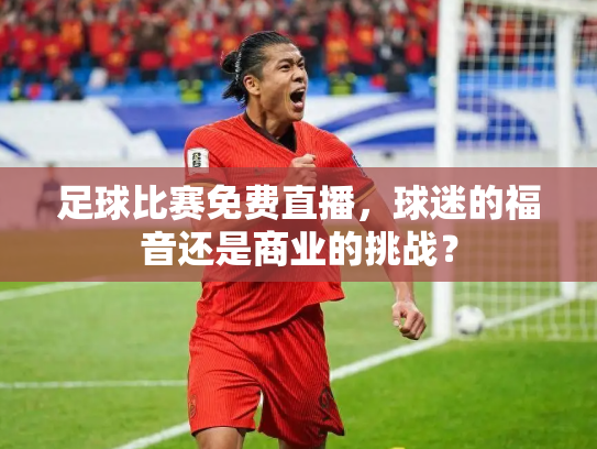 足球比赛免费直播，球迷的福音还是商业的挑战？