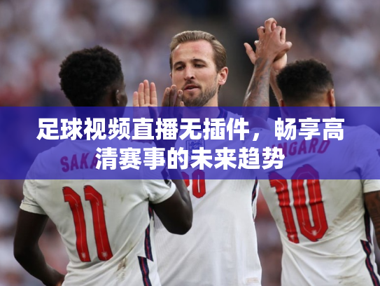 足球视频直播无插件，畅享高清赛事的未来趋势
