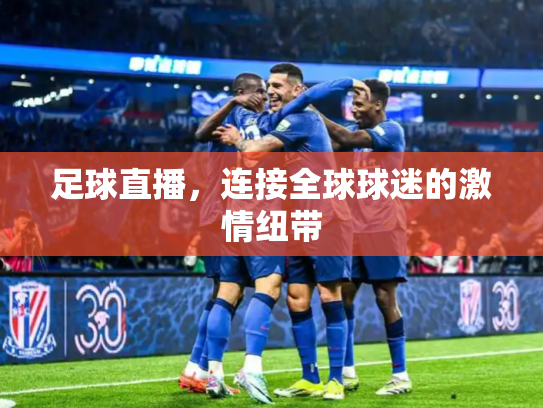 足球直播，连接全球球迷的激情纽带