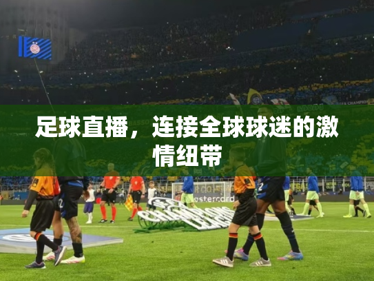 足球直播，连接全球球迷的激情纽带