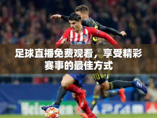 足球直播免费观看，享受精彩赛事的最佳方式
