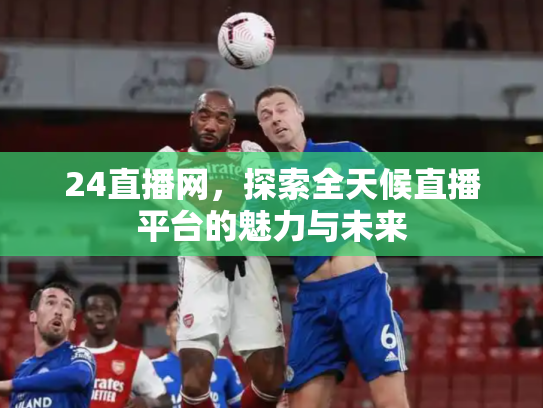 24直播网，探索全天候直播平台的魅力与未来