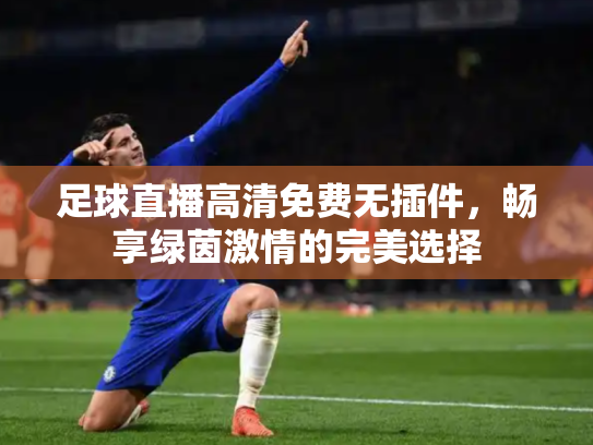 足球直播高清免费无插件，畅享绿茵激情的完美选择