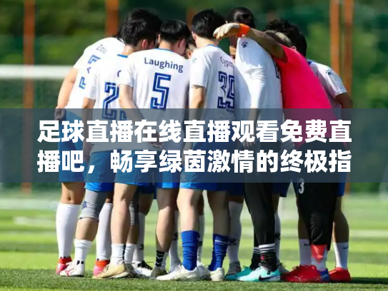 足球直播在线直播观看免费直播吧，畅享绿茵激情的终极指南
