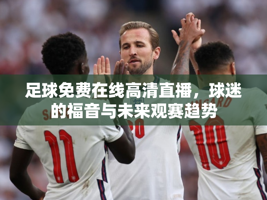足球免费在线高清直播，球迷的福音与未来观赛趋势