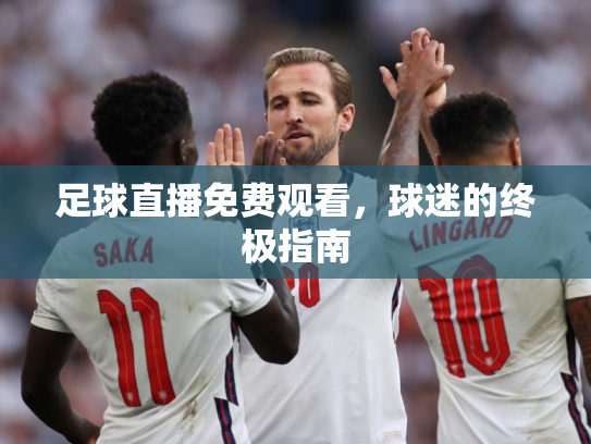 足球直播免费观看，球迷的终极指南