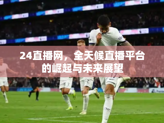 24直播网，全天候直播平台的崛起与未来展望