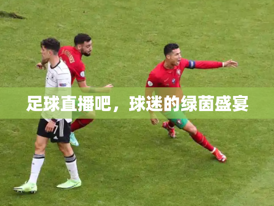 足球直播吧，球迷的绿茵盛宴