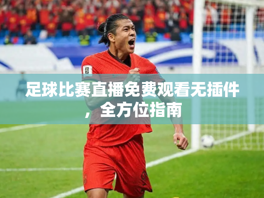 足球比赛直播免费观看无插件，全方位指南