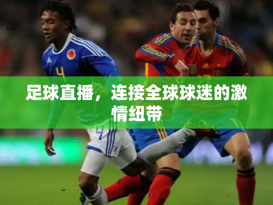 足球直播，连接全球球迷的激情纽带