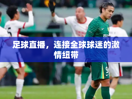 足球直播，连接全球球迷的激情纽带