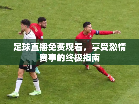 足球直播免费观看，享受激情赛事的终极指南
