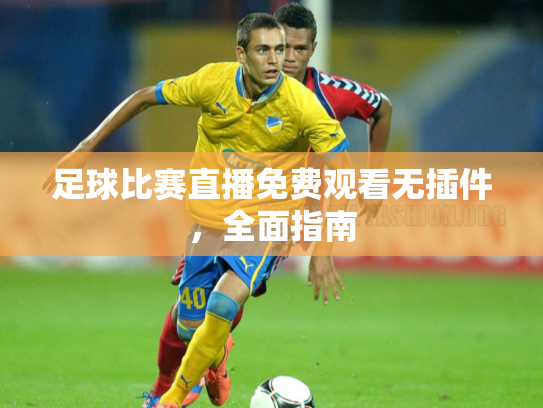 足球比赛直播免费观看无插件，全面指南