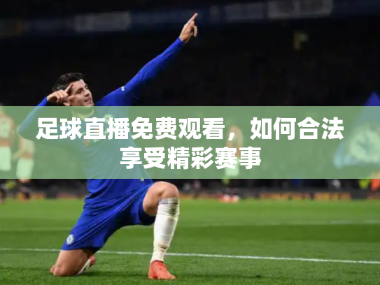 足球直播免费观看，如何合法享受精彩赛事