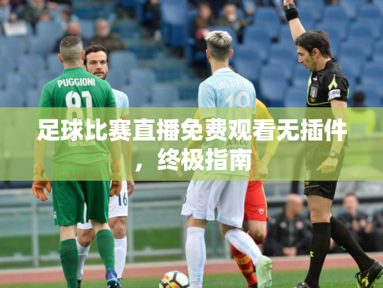 足球比赛直播免费观看无插件，终极指南
