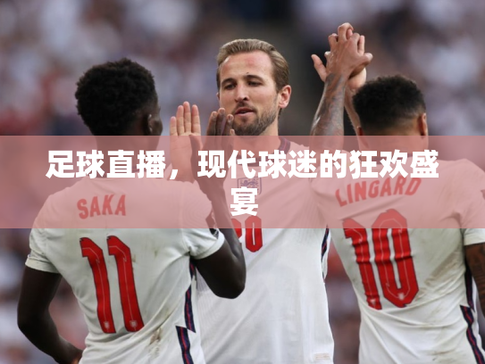 足球直播，现代球迷的狂欢盛宴