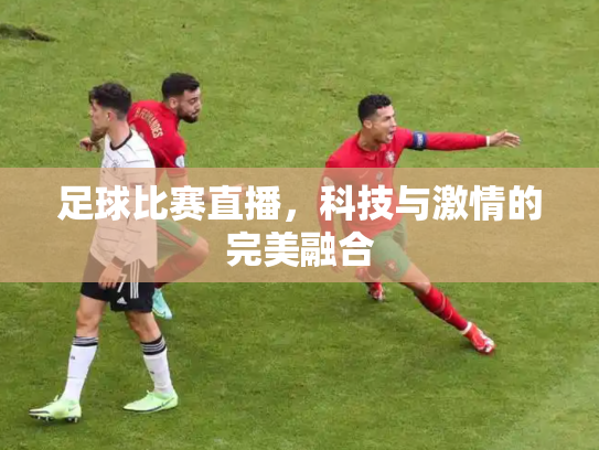 足球比赛直播，科技与激情的完美融合