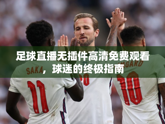 足球直播无插件高清免费观看，球迷的终极指南