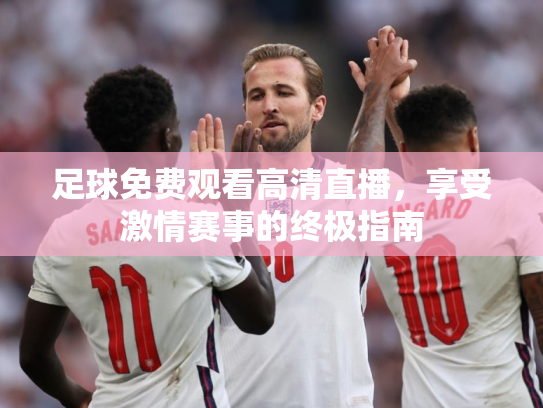 足球免费观看高清直播，享受激情赛事的终极指南
