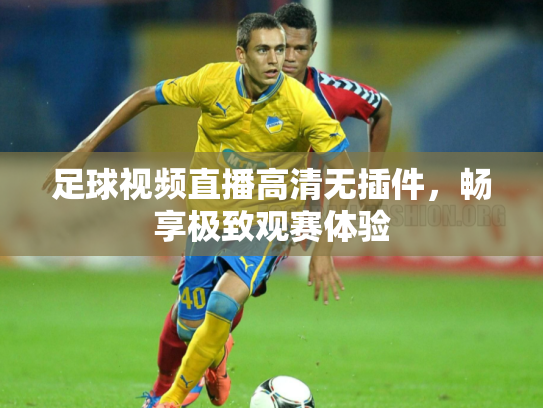足球视频直播高清无插件，畅享极致观赛体验