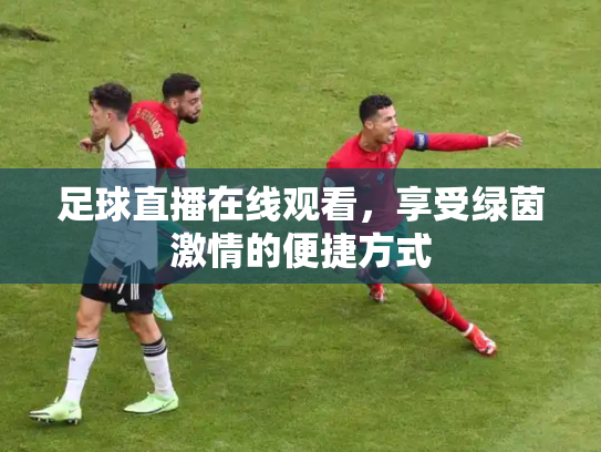 足球直播在线观看，享受绿茵激情的便捷方式