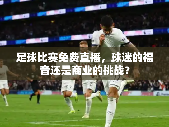足球比赛免费直播，球迷的福音还是商业的挑战？