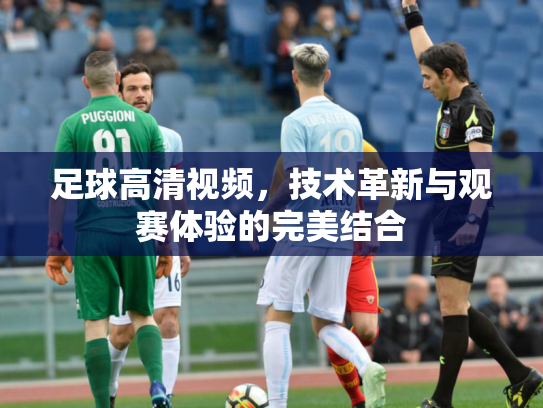 足球高清视频，技术革新与观赛体验的完美结合