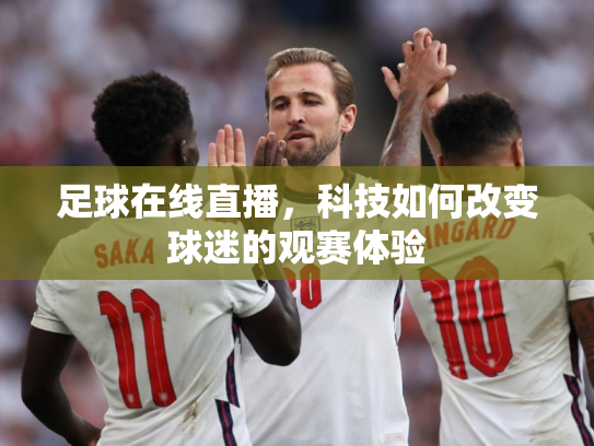 足球在线直播，科技如何改变球迷的观赛体验