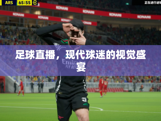 足球直播，现代球迷的视觉盛宴