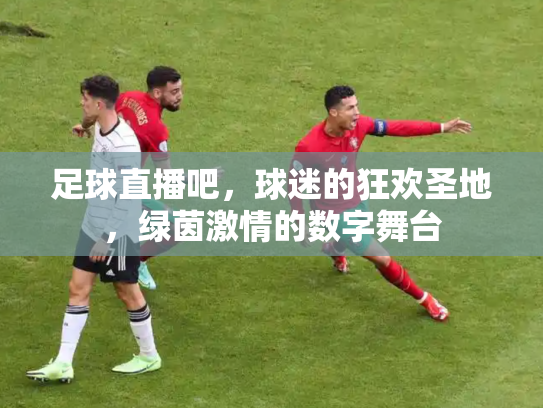 足球直播吧，球迷的狂欢圣地，绿茵激情的数字舞台