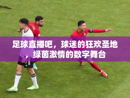 足球直播吧，球迷的狂欢圣地，绿茵激情的数字舞台