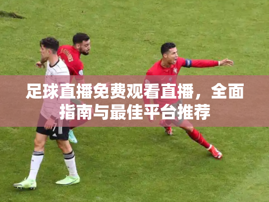足球直播免费观看直播，全面指南与最佳平台推荐