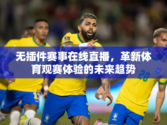 无插件赛事在线直播，革新体育观赛体验的未来趋势