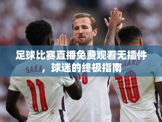 足球比赛直播免费观看无插件，球迷的终极指南