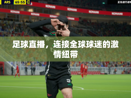 足球直播，连接全球球迷的激情纽带