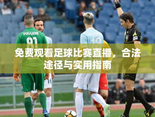 免费观看足球比赛直播，合法途径与实用指南