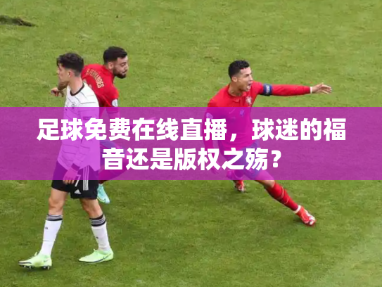 足球免费在线直播，球迷的福音还是版权之殇？