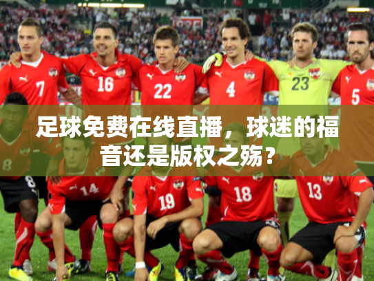 足球免费在线直播，球迷的福音还是版权之殇？