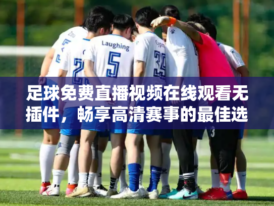 足球免费直播视频在线观看无插件，畅享高清赛事的最佳选择