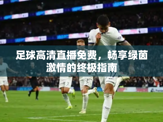 足球高清直播免费，畅享绿茵激情的终极指南