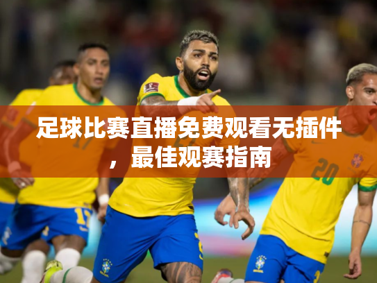 足球比赛直播免费观看无插件，最佳观赛指南