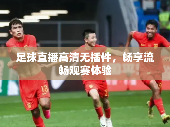 足球直播高清无插件，畅享流畅观赛体验