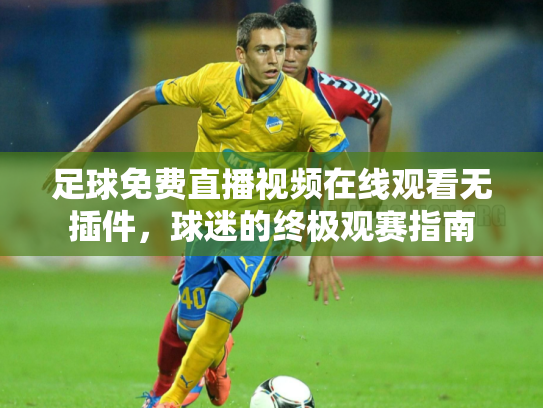 足球免费直播视频在线观看无插件，球迷的终极观赛指南